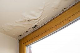 water-damage-restoration-ceiling-drywall-bubbling