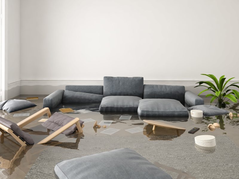 Who to Call and What to Do When Your Basement Floods (1)