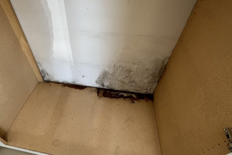 Mold Growth on outside of wall inside of a cabinet
