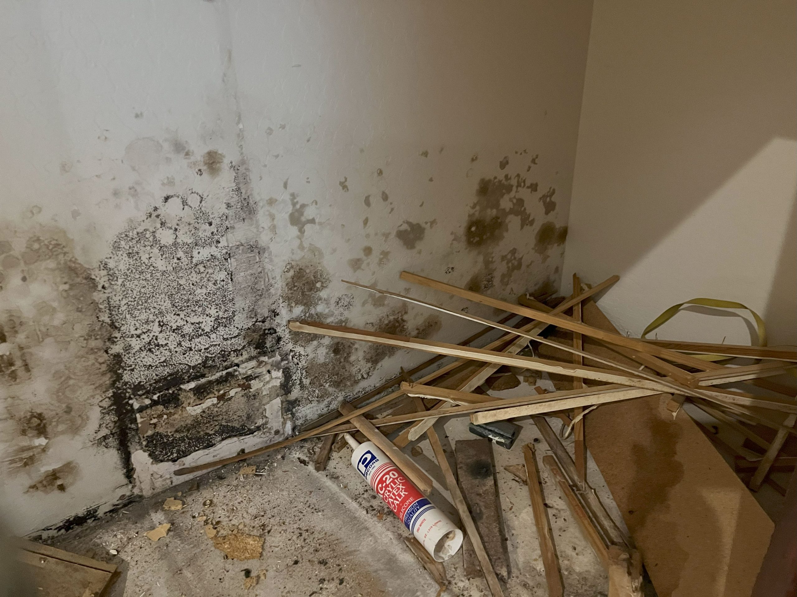 Hidden Mold Growth on Drywall Found Behind Kitchen Cabinets